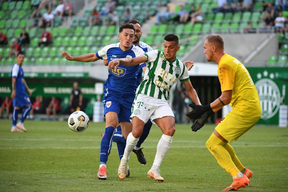 212671298 362440245239911 1991284619484644966 n