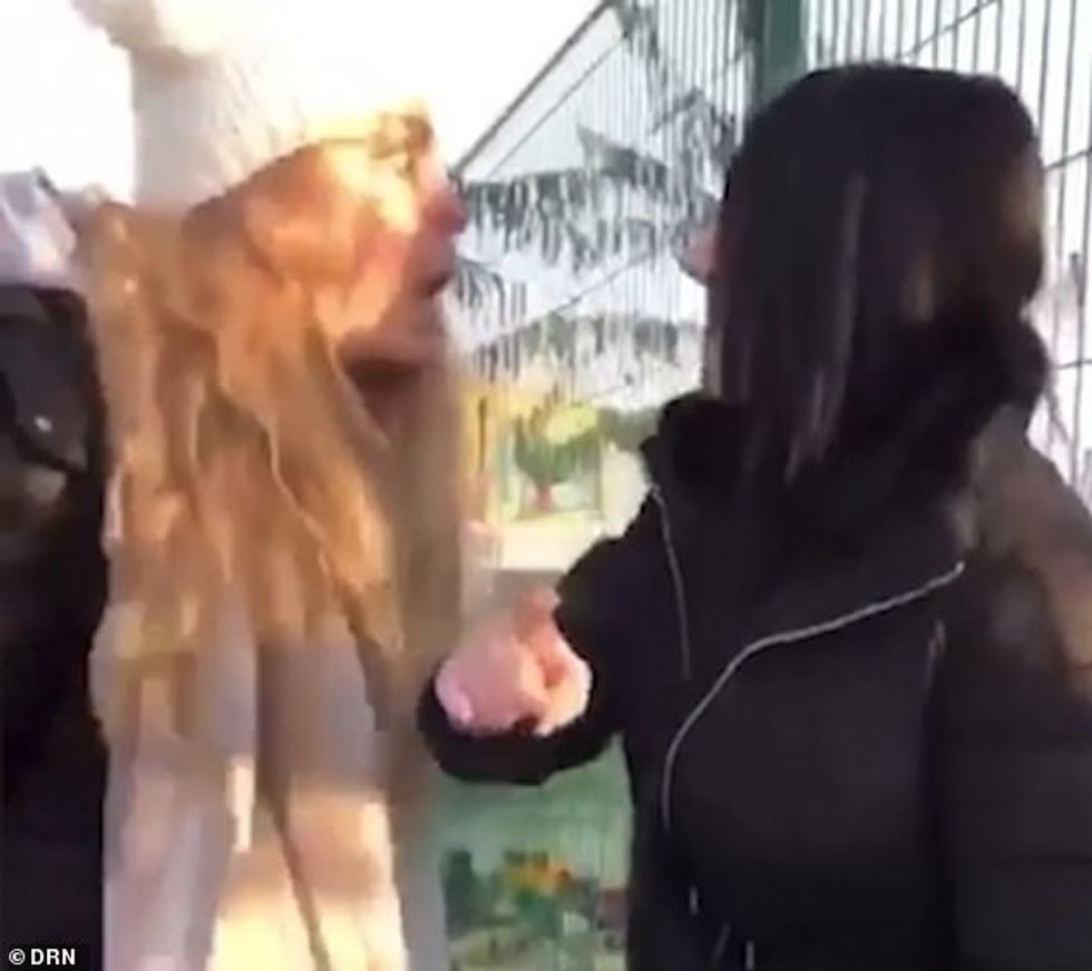 21285092 7709729 image m 35 1574333068582 1