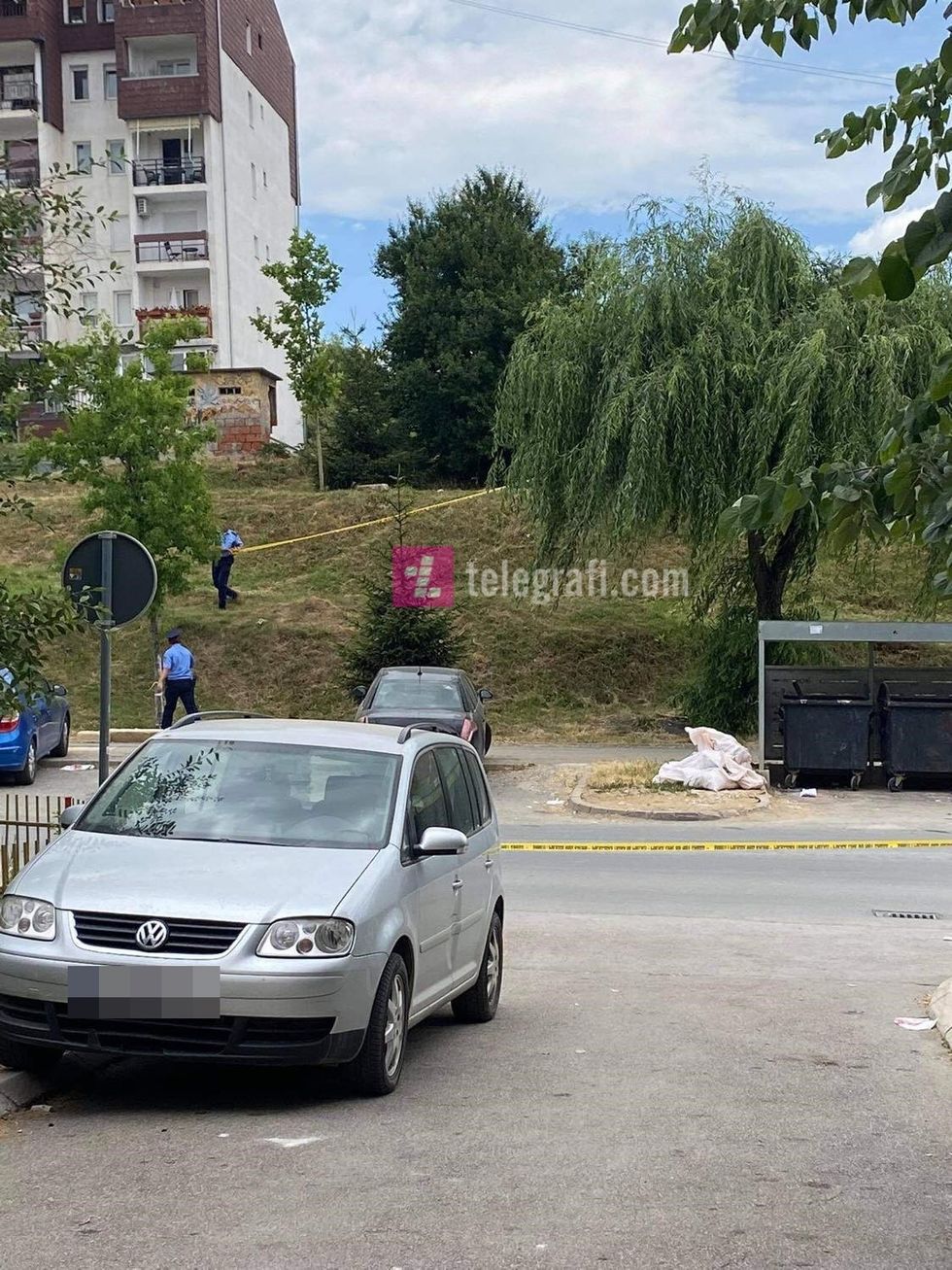 213049009 788361455216051 5231406575568044929 n