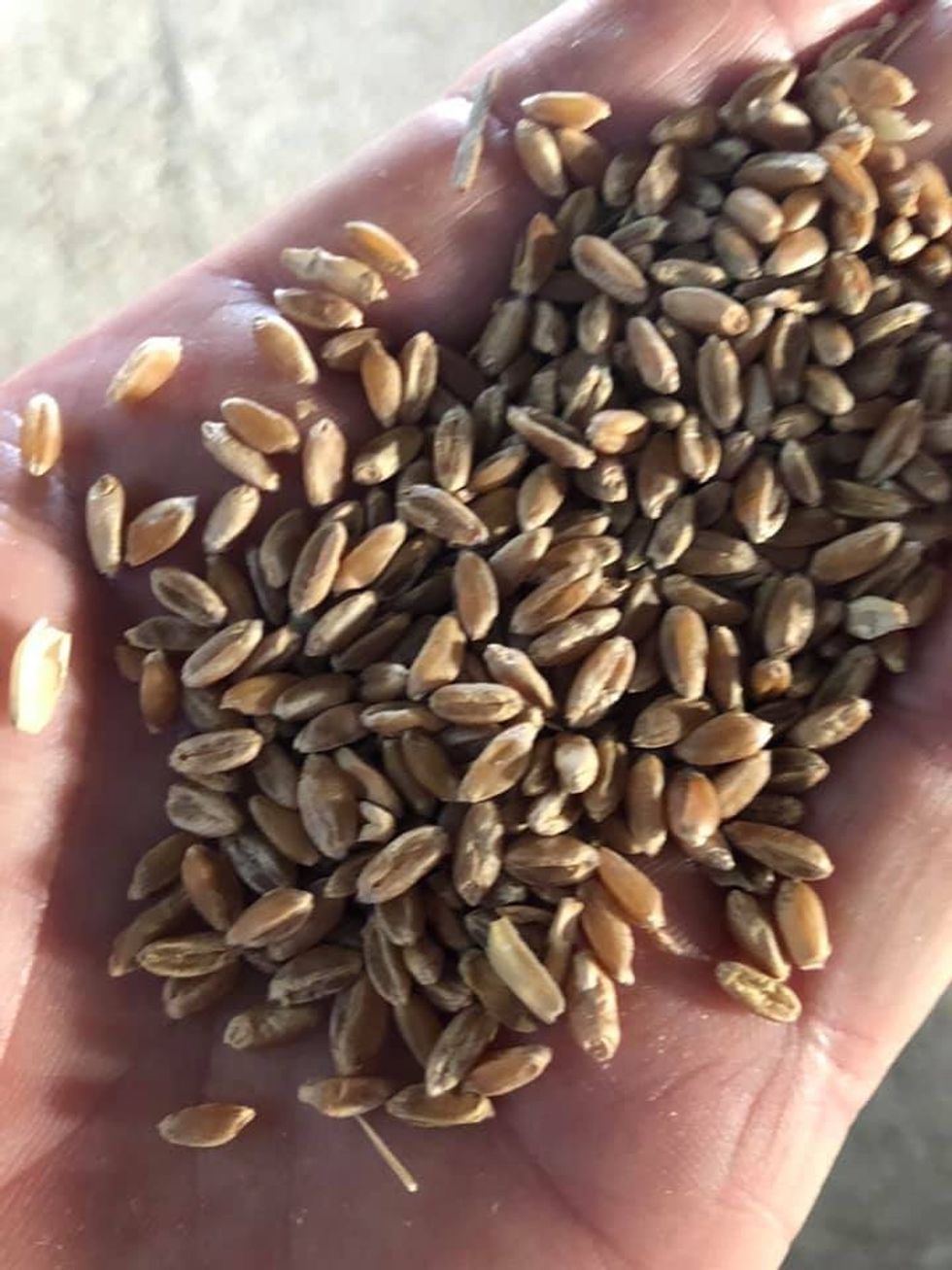 216213683 1016556885786729 373338744814769472 n