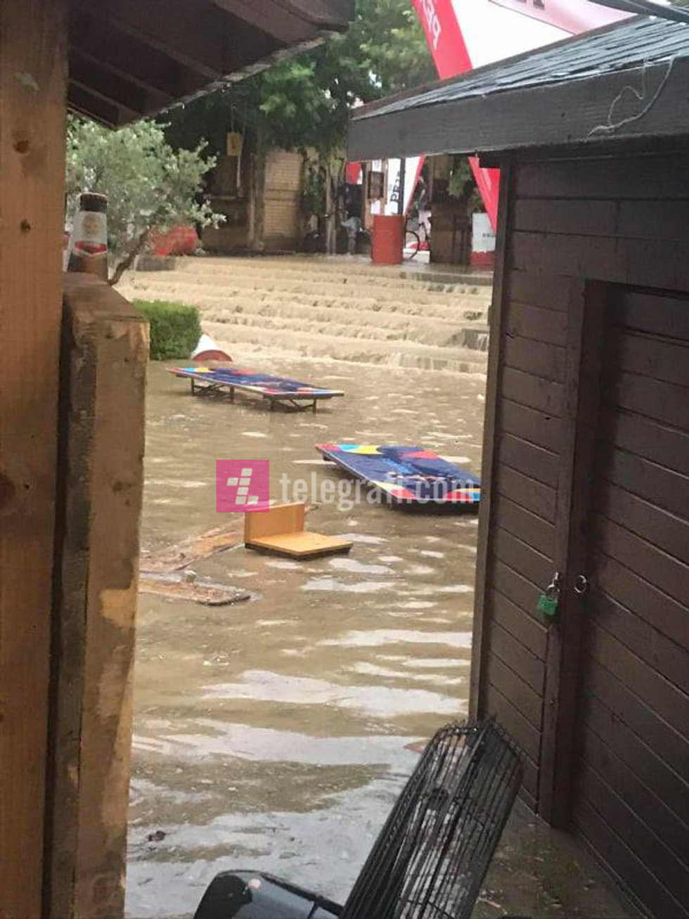 217741625 508446367109338 1187128356408078004 n