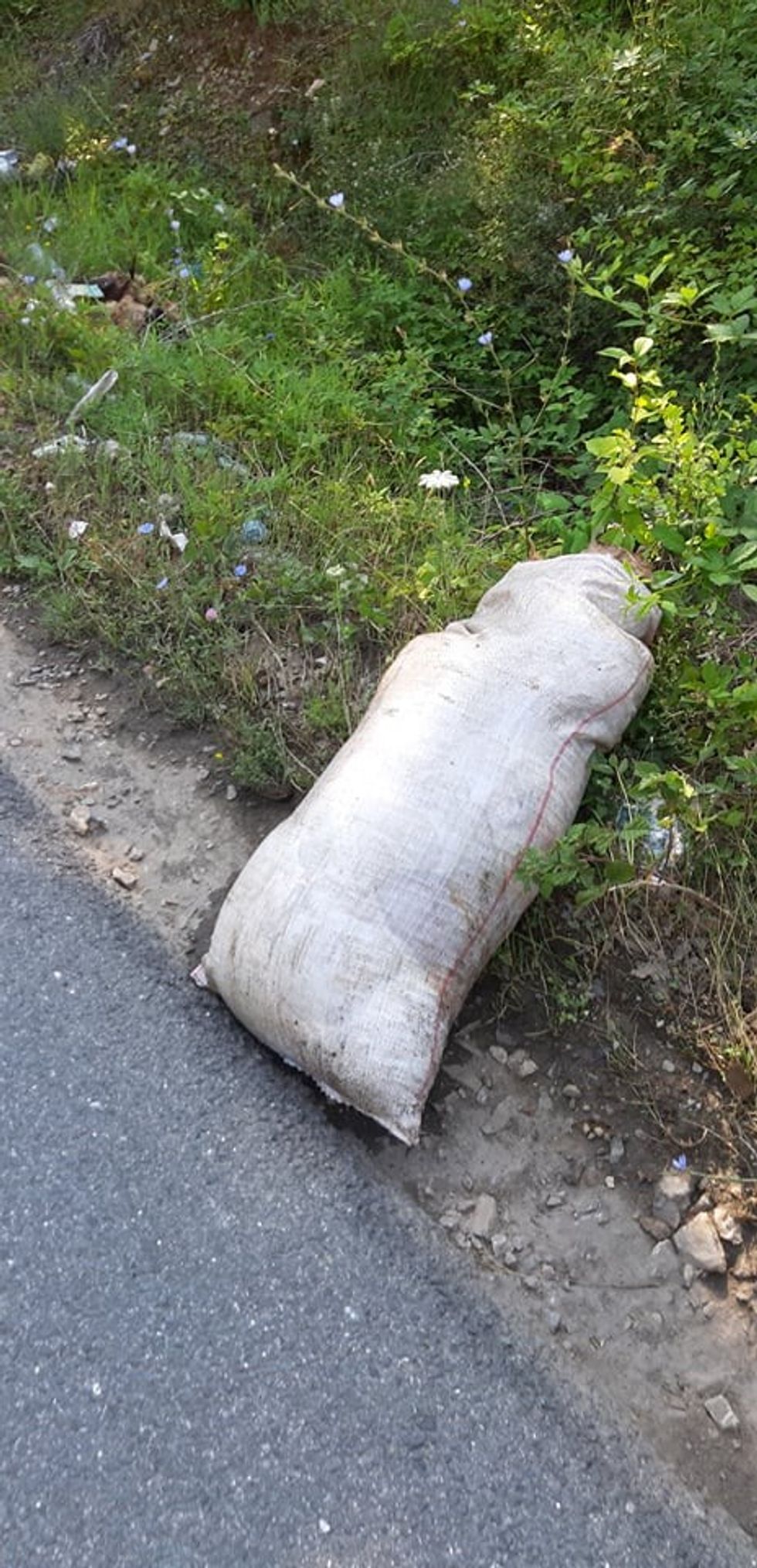 218056137 232761165229862 276654628017774412 n