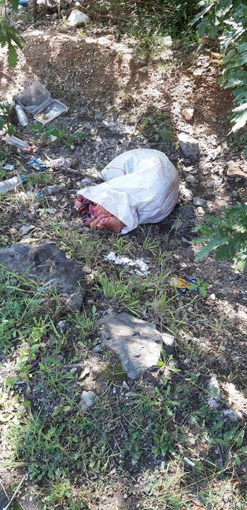 218263391 186812670142213 6239942884421155557 n