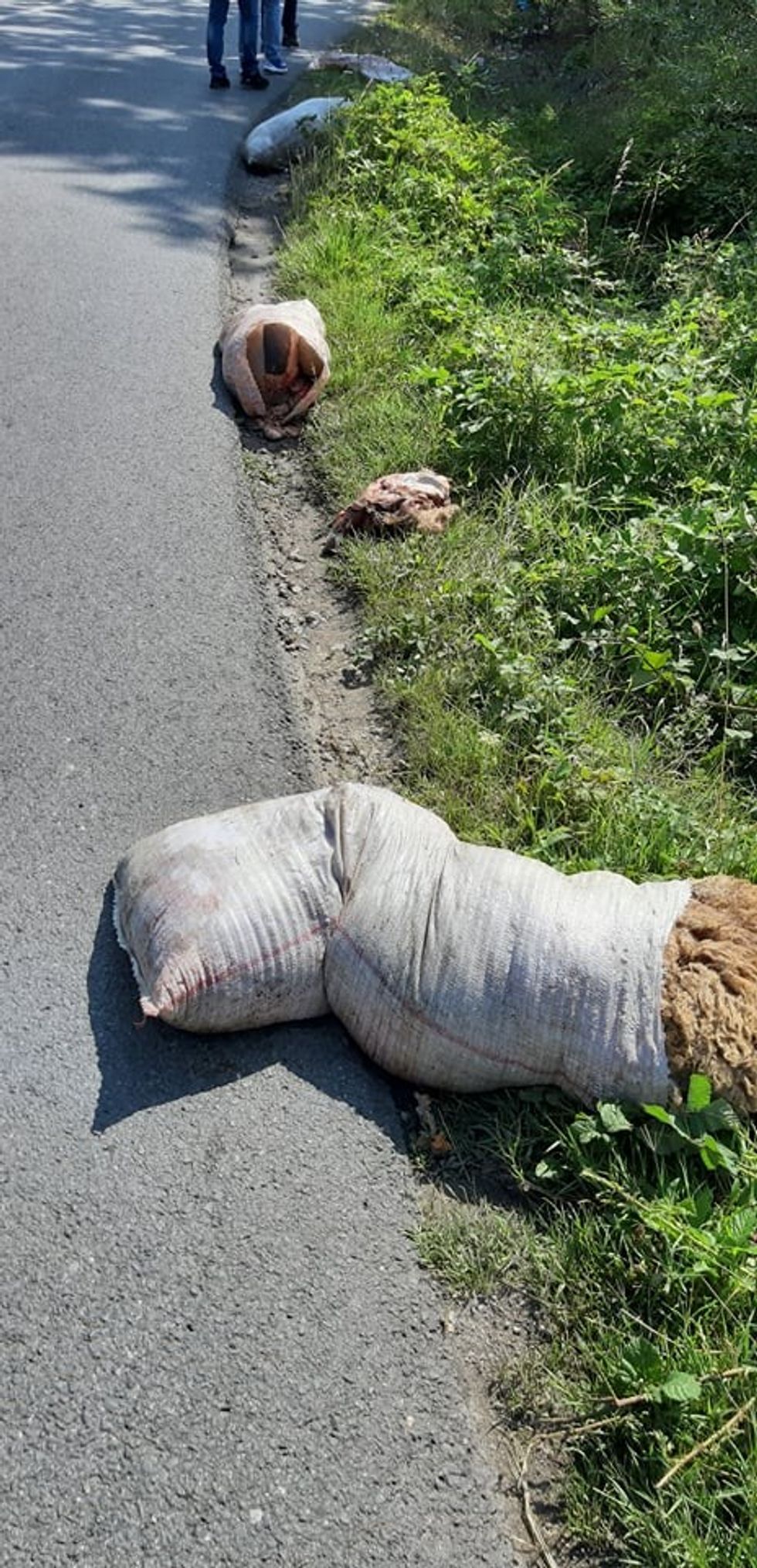 218360340 525156645359098 7581322712453452207 n