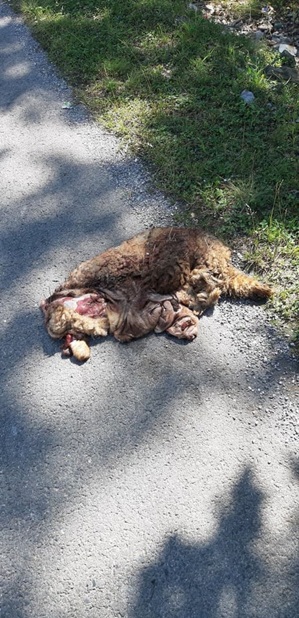 218833640 3432921096811140 7601466142128324470 n