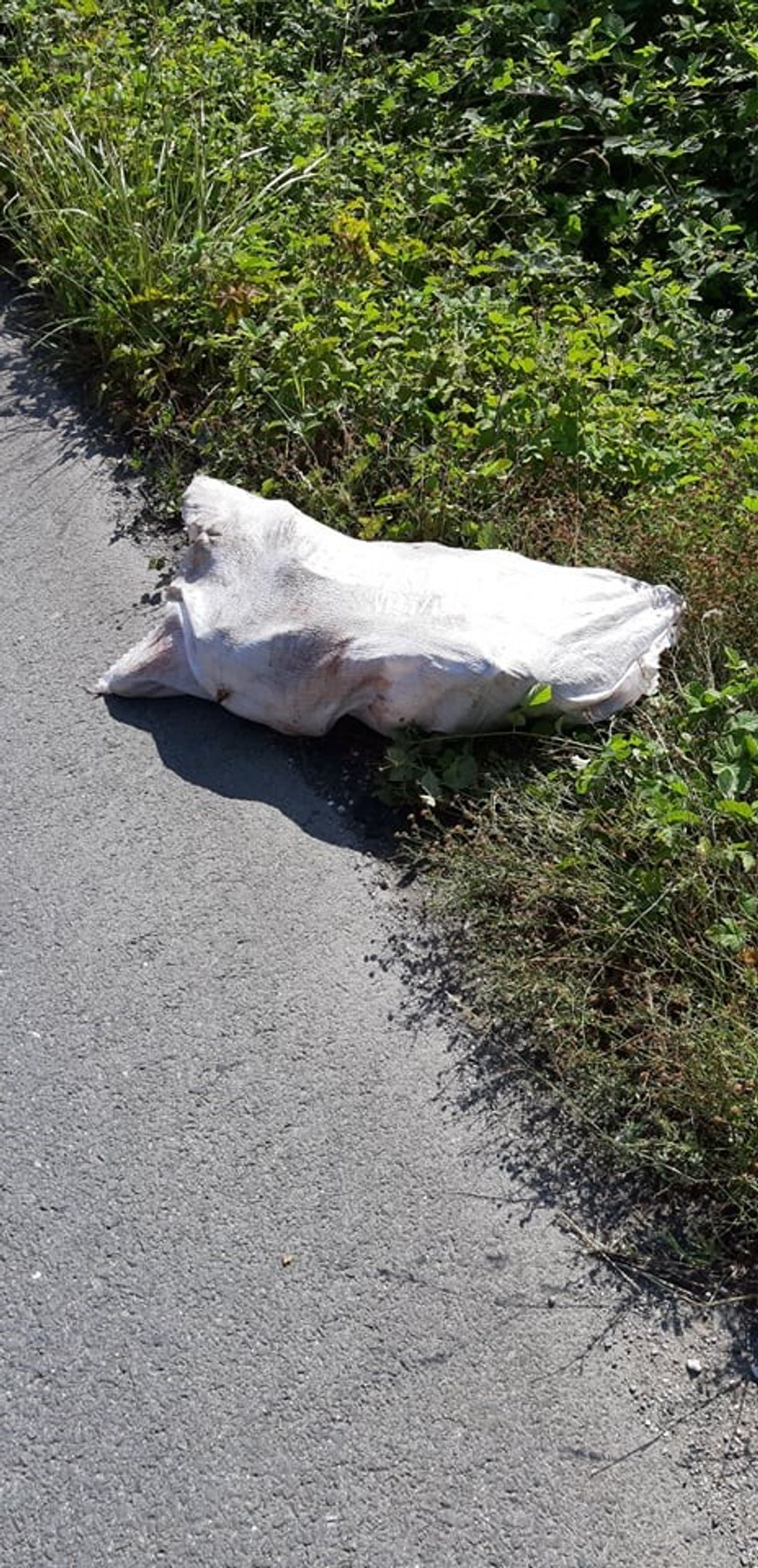 219380010 864081561193258 6096101124638778307 n