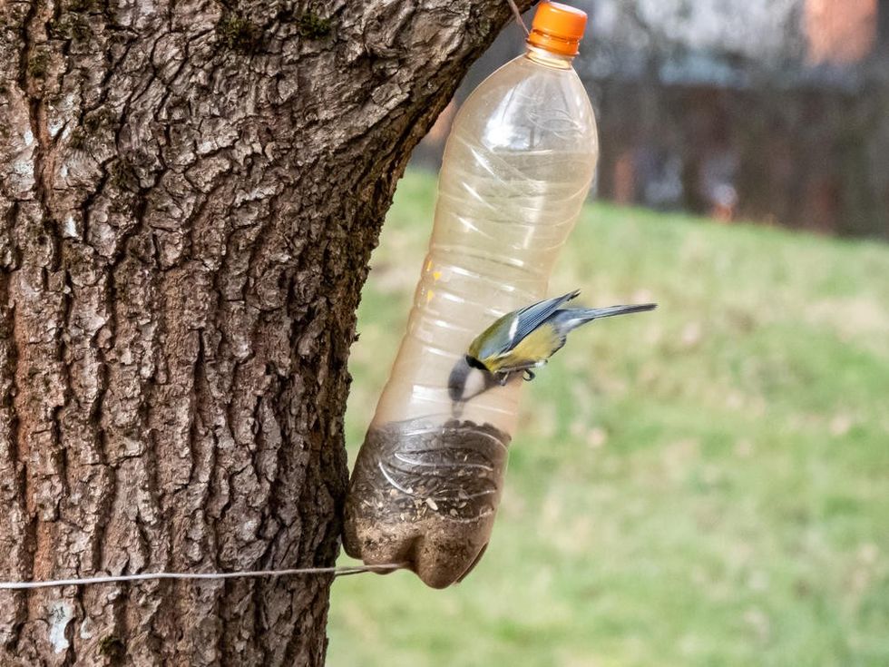 220141 shutterstock 1651658719 ff