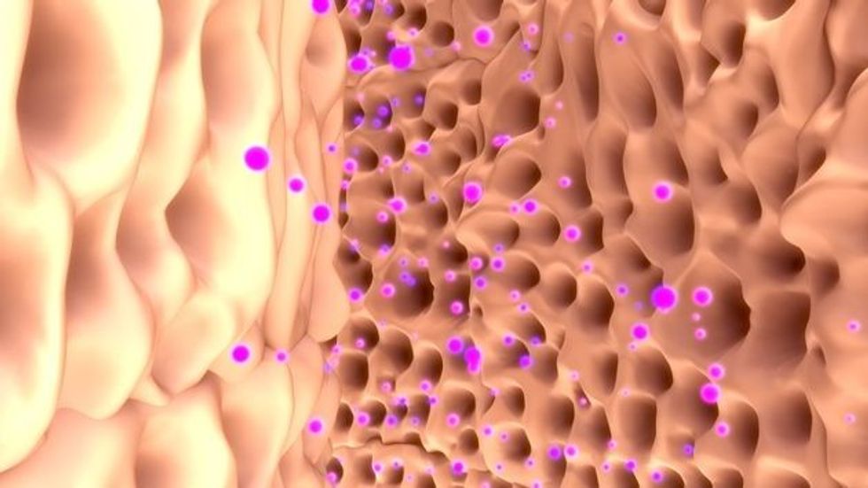 22133510 Depositphotos 106796478 xl 2015 1523733284 728 cf89ba4753 1524730674