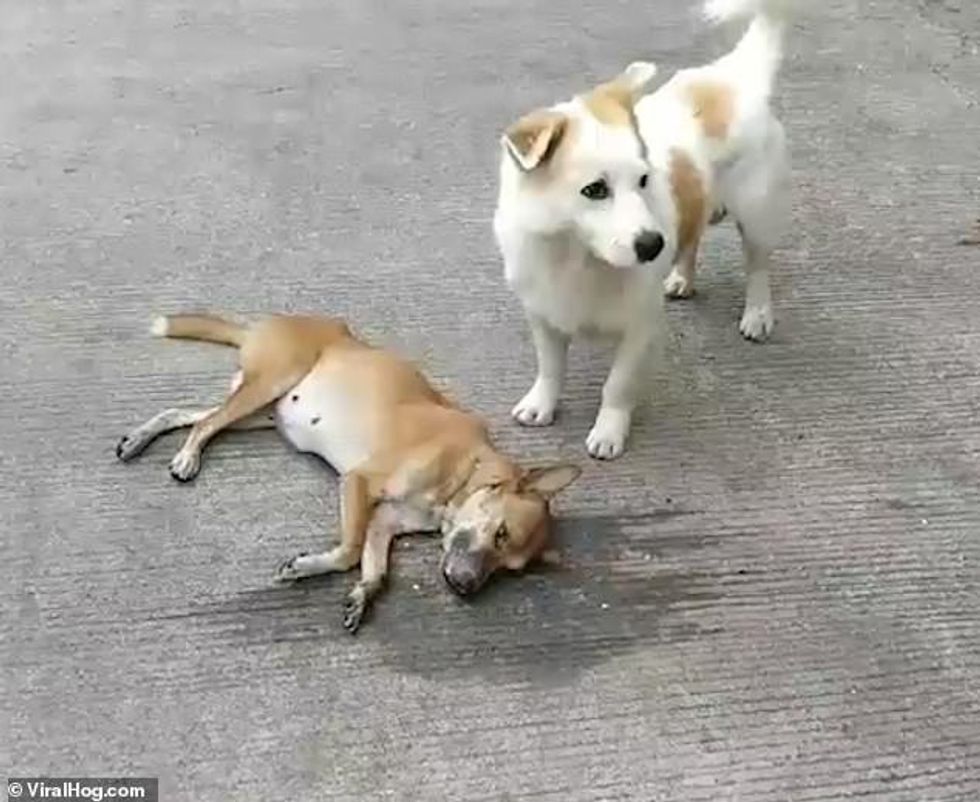 22164988 7786151 image m 6 1576173583660