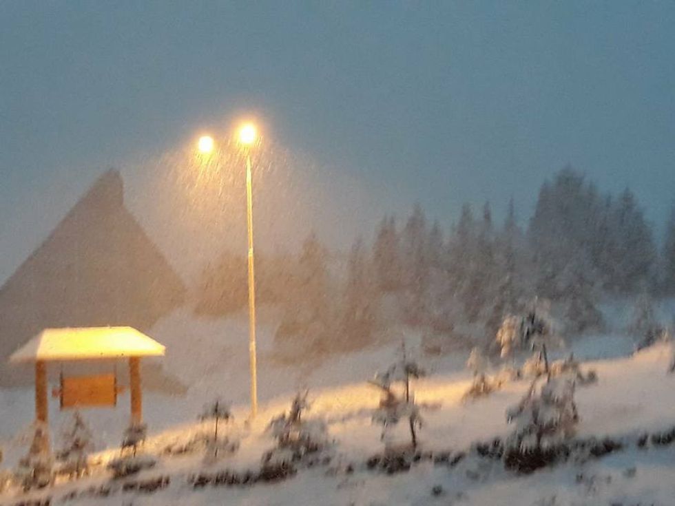 22228166 1338240779631541 5970744563372271662 n