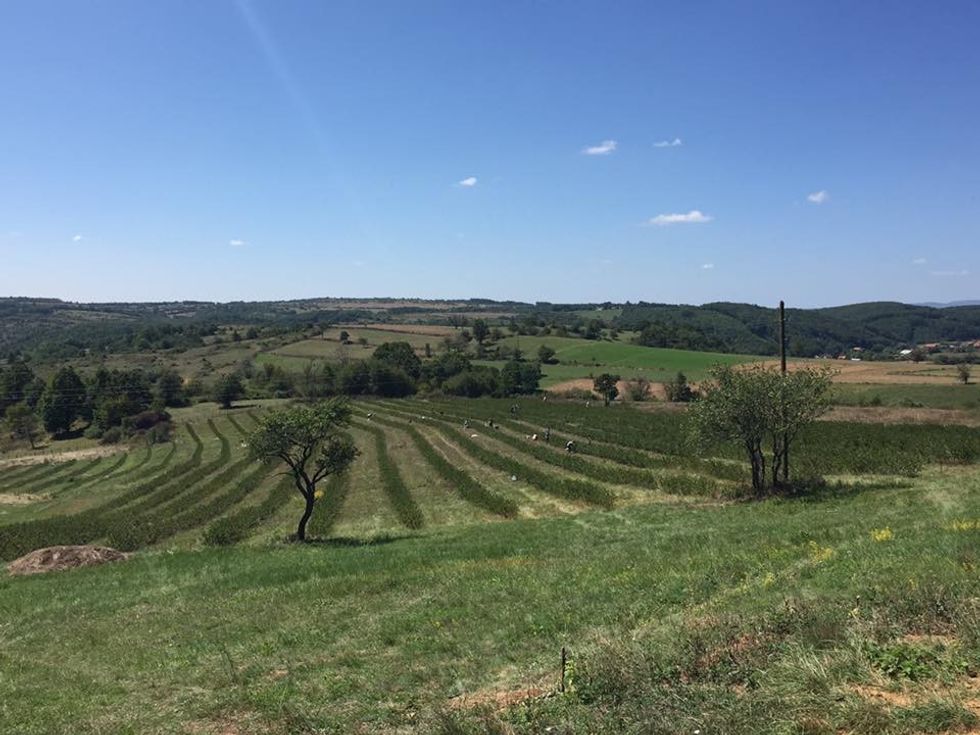 22489774 1303320633113309 6144524557649766182 n