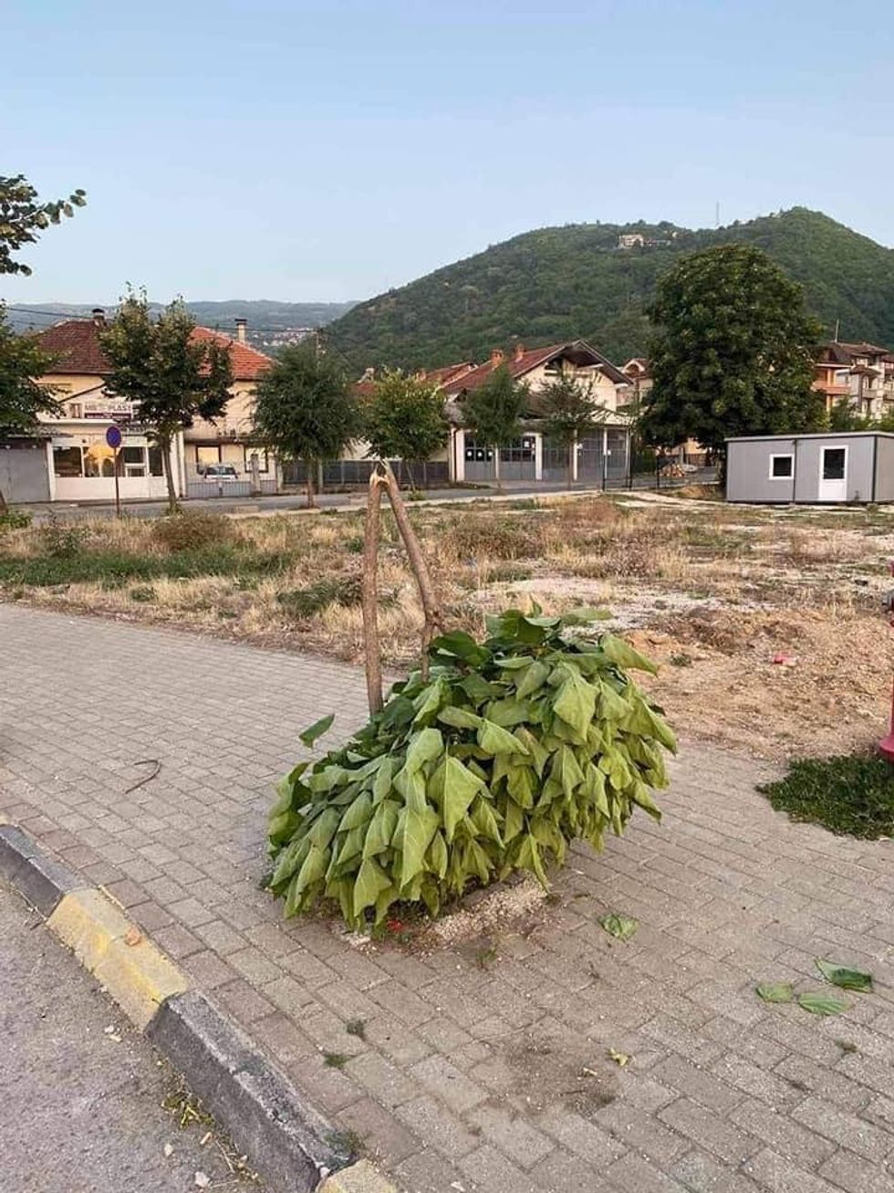 225172246 6246216878752479 6863722176723026227 n