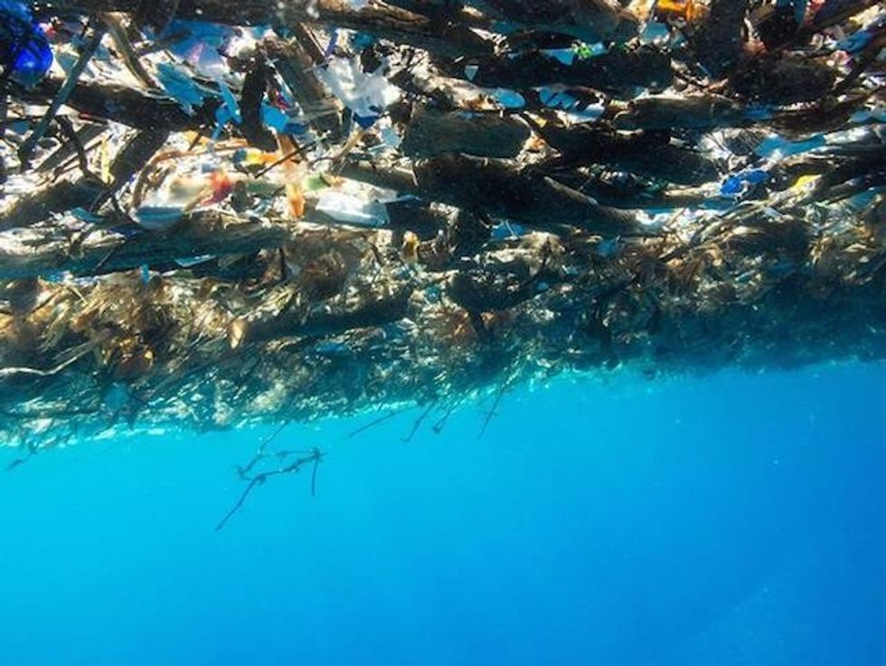 22519355 10155101847218861 2048657368968604981 n