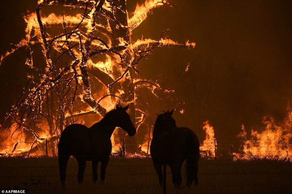 22523044 7816305 image a 3 1576913547819