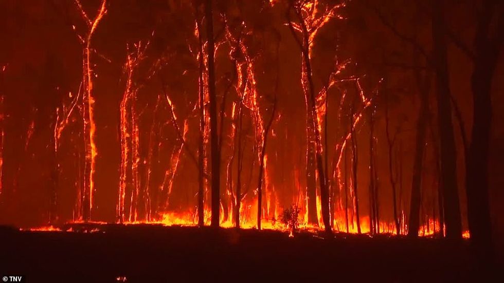 22527936 7816755 image a 49 1576939428850