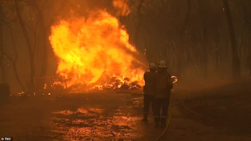 22527958 7816755 image a 48 1576939423589