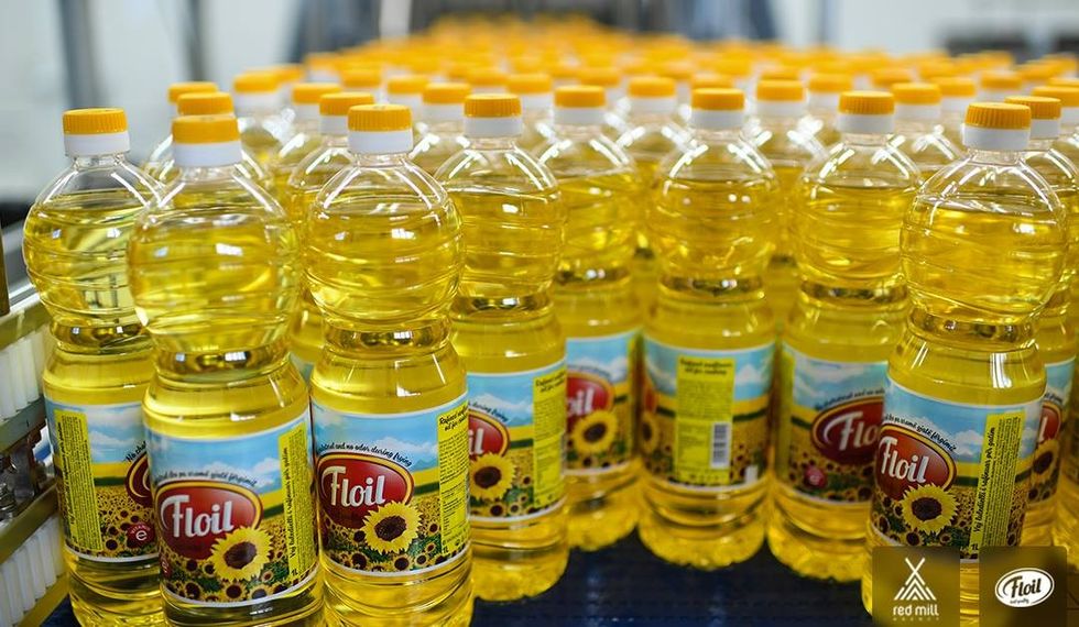 22555720 1890187671309560 3378145475891043838 o 1