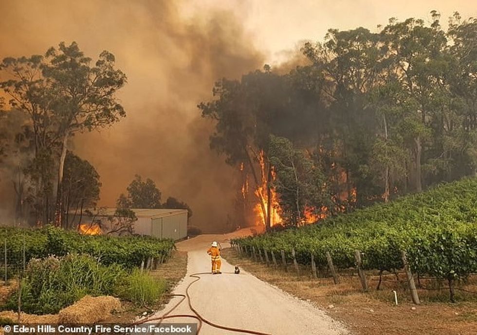 22638598 0 image a 1 1577218823317