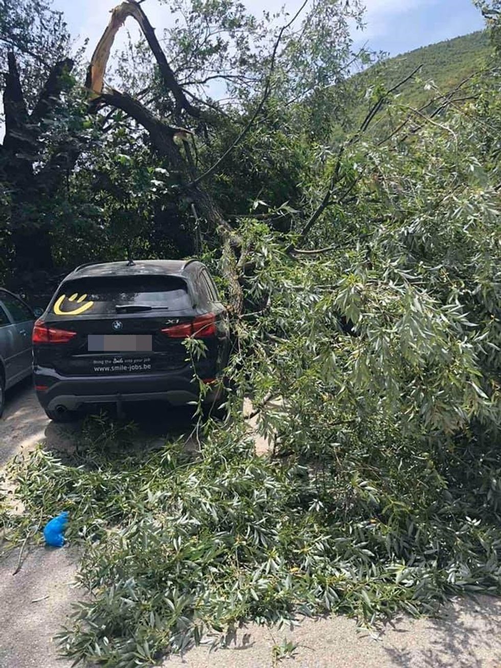 227072024 4239368029517173 3365592154938194474 n 1