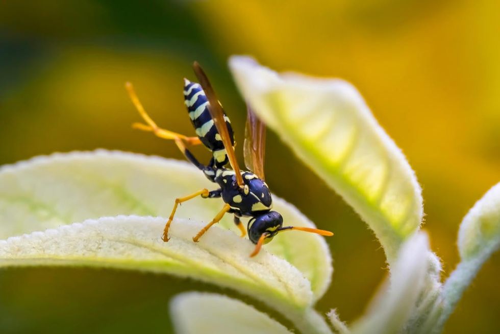 227103 shutterstock 1789726370 ff