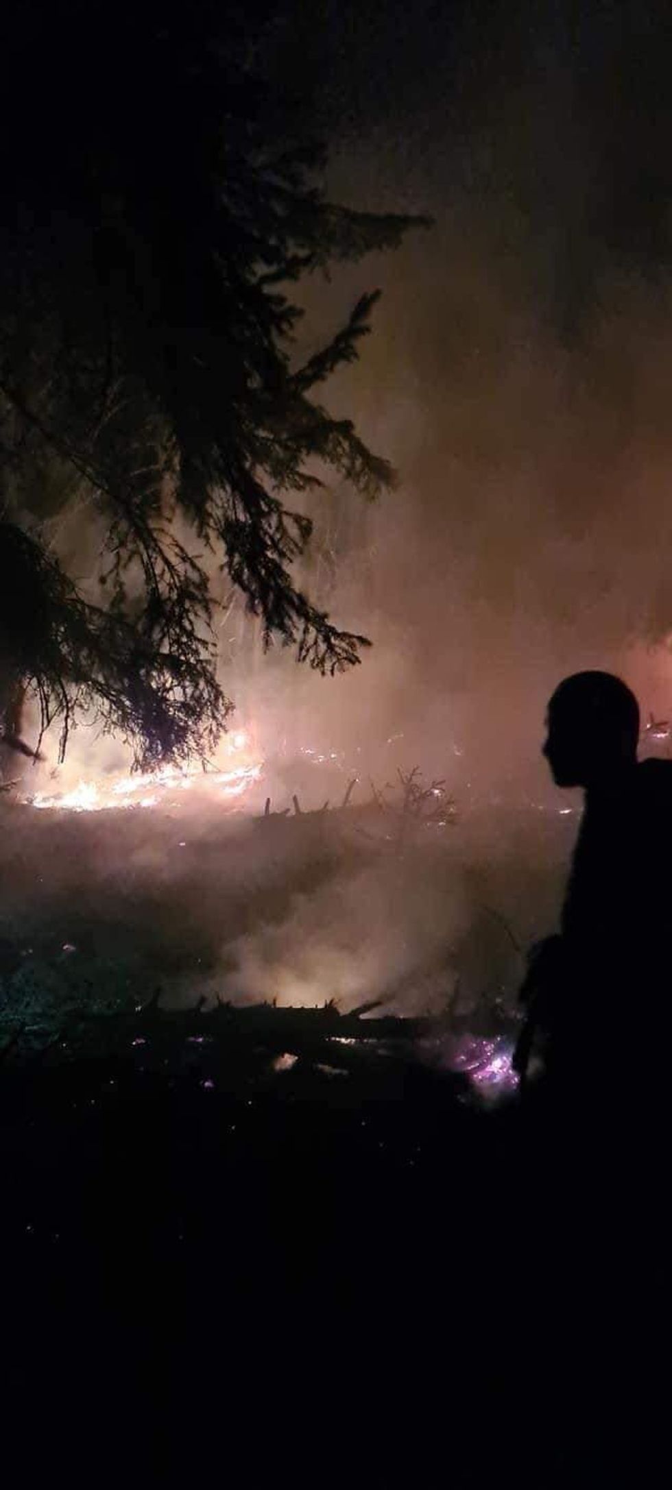 227329283 4141002955955230 2930808407539338226 n