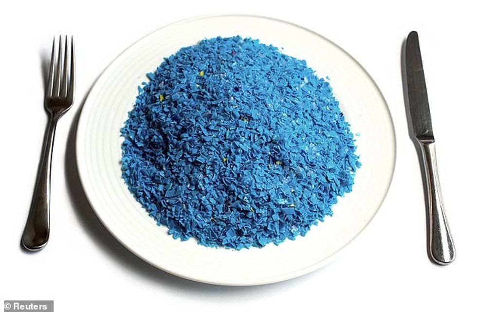 22829874 7839295 image a 9 1577782868162