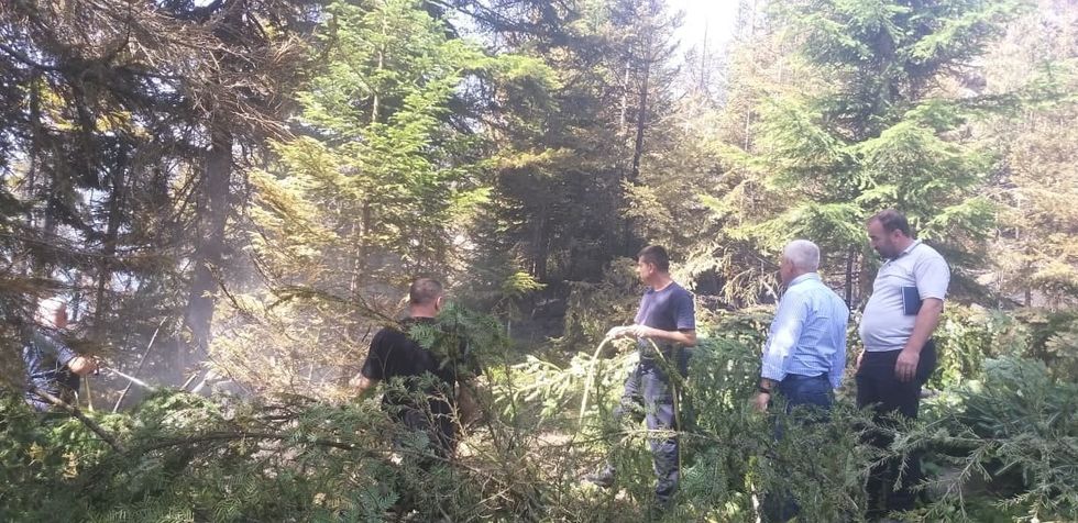 229055049 4225413457547140 4138194283520204252 n