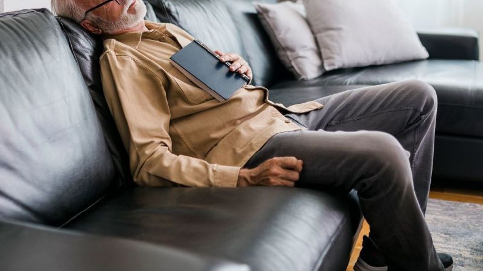 231103203737 sleeping on the couch stock restricted 1