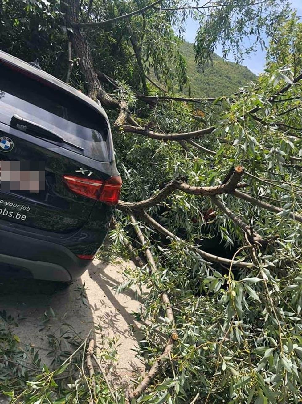 231319743 4239368042850505 7891971371428369282 n 1