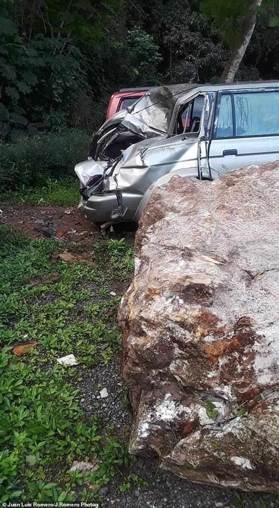 23276958 7876213 image a 24 1578766959802