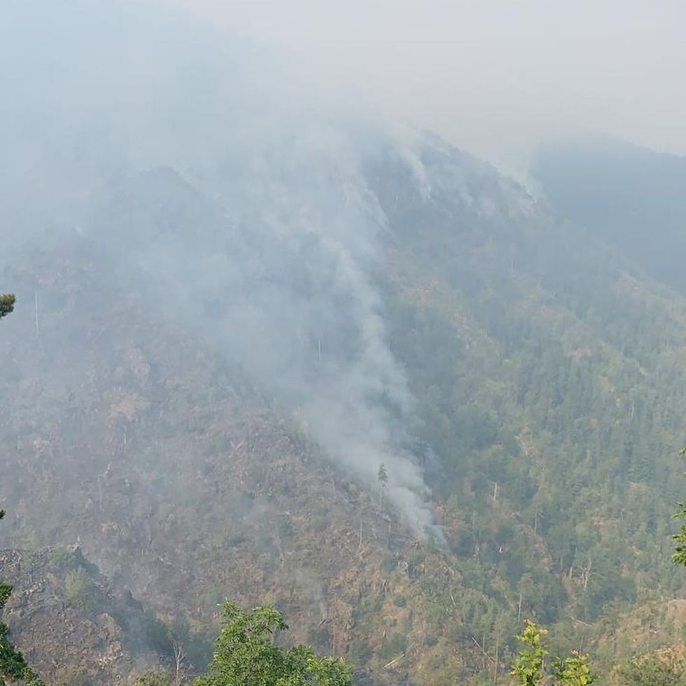 233718287 6206818242676591 7118112110611501348 n