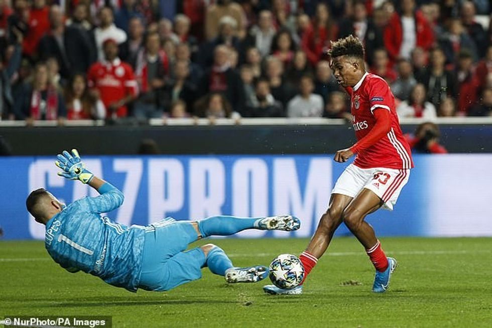 23381742 7885271 image a 10 1579003204627