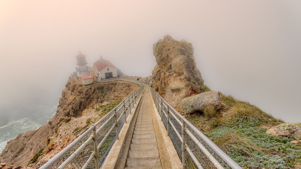 234655 shutterstock 71264452