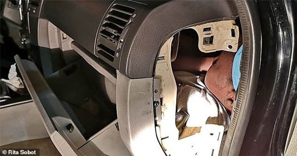 23519140 7898509 image a 1 1579261432725