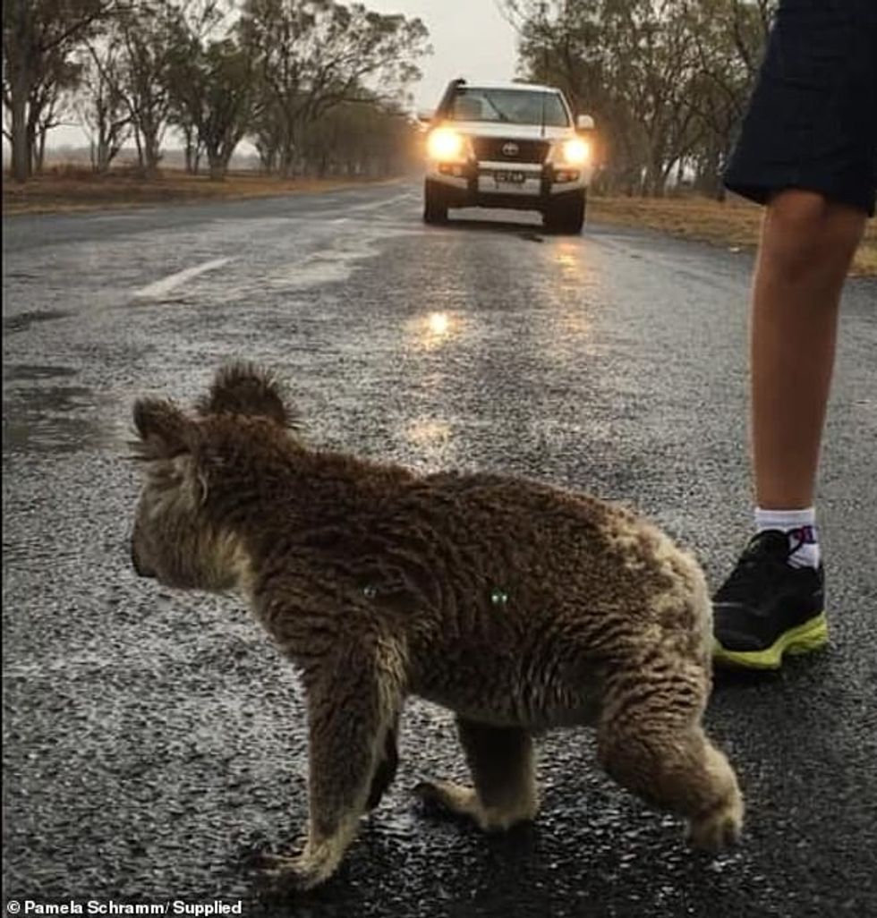 23548148 7900773 image m 39 1579323980192