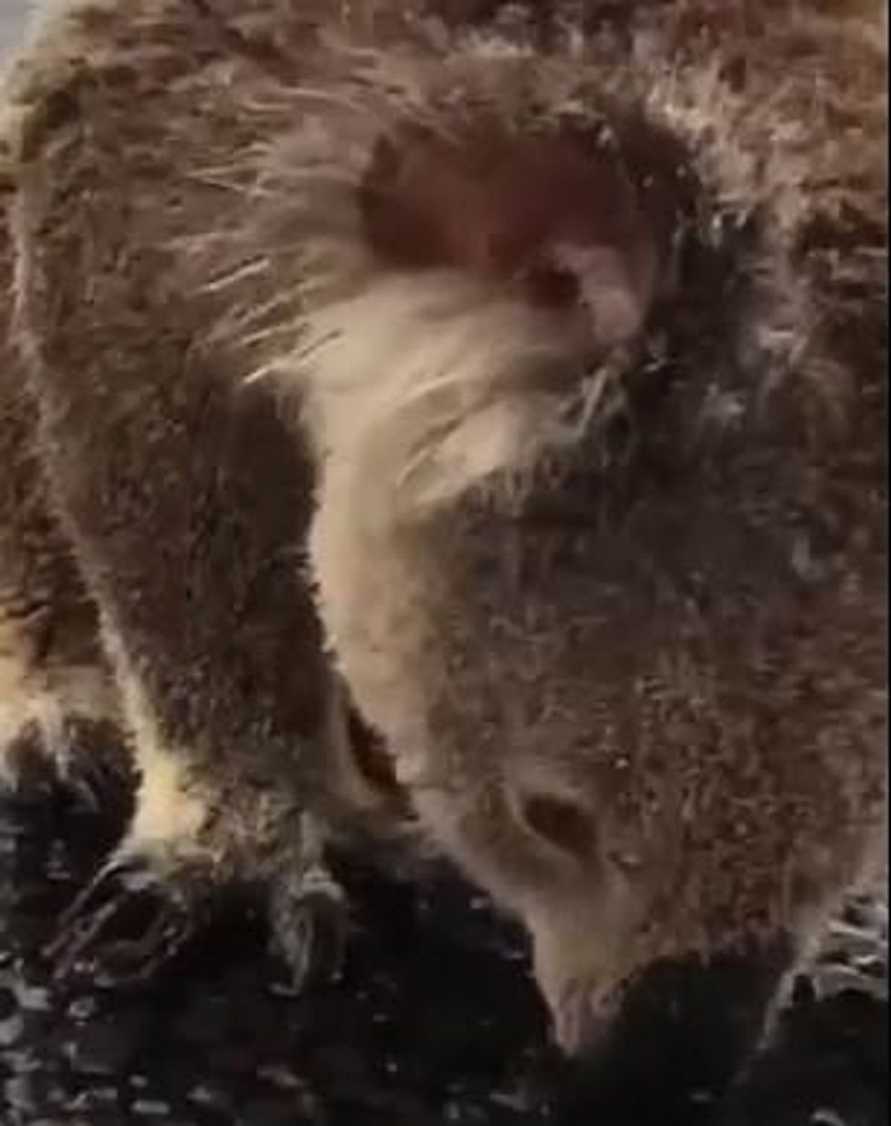 23548688 7900773 image m 36 1579323964789