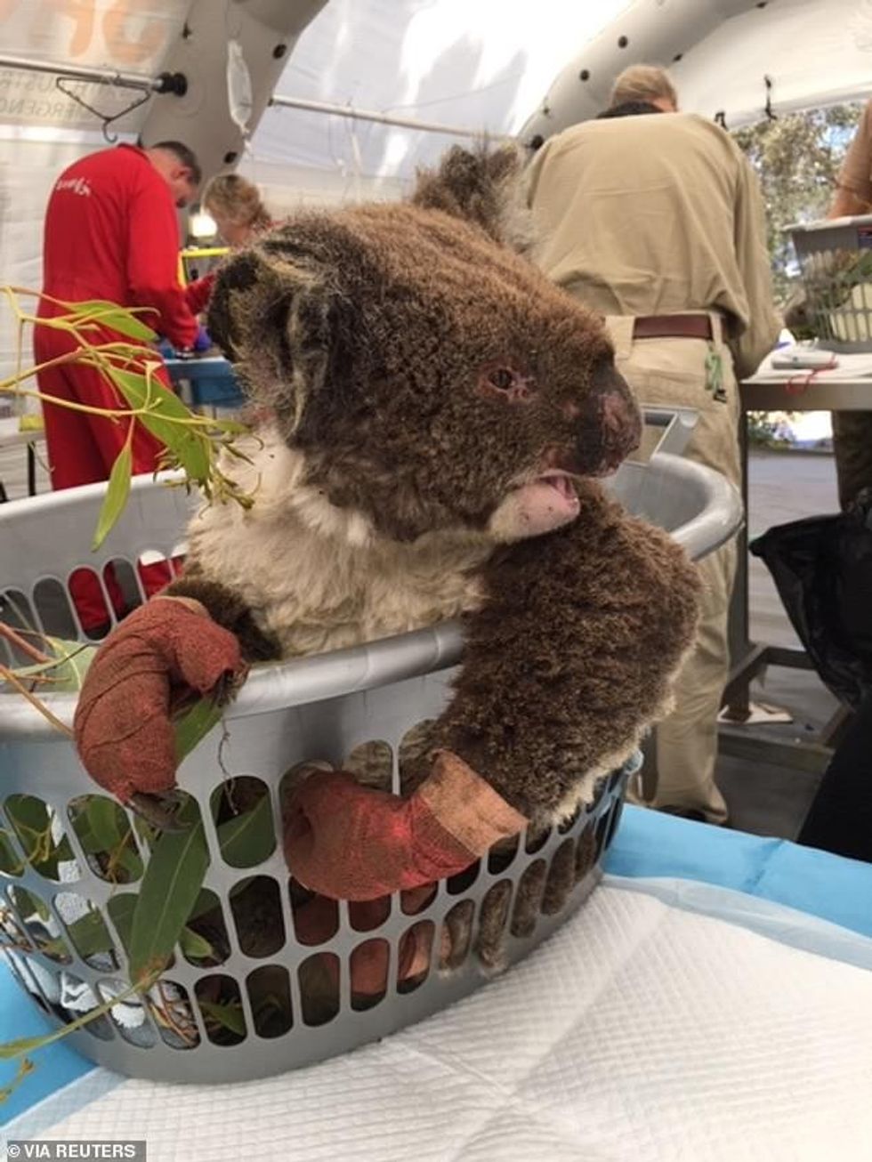 23720140 7915593 image a 28 1579692937553