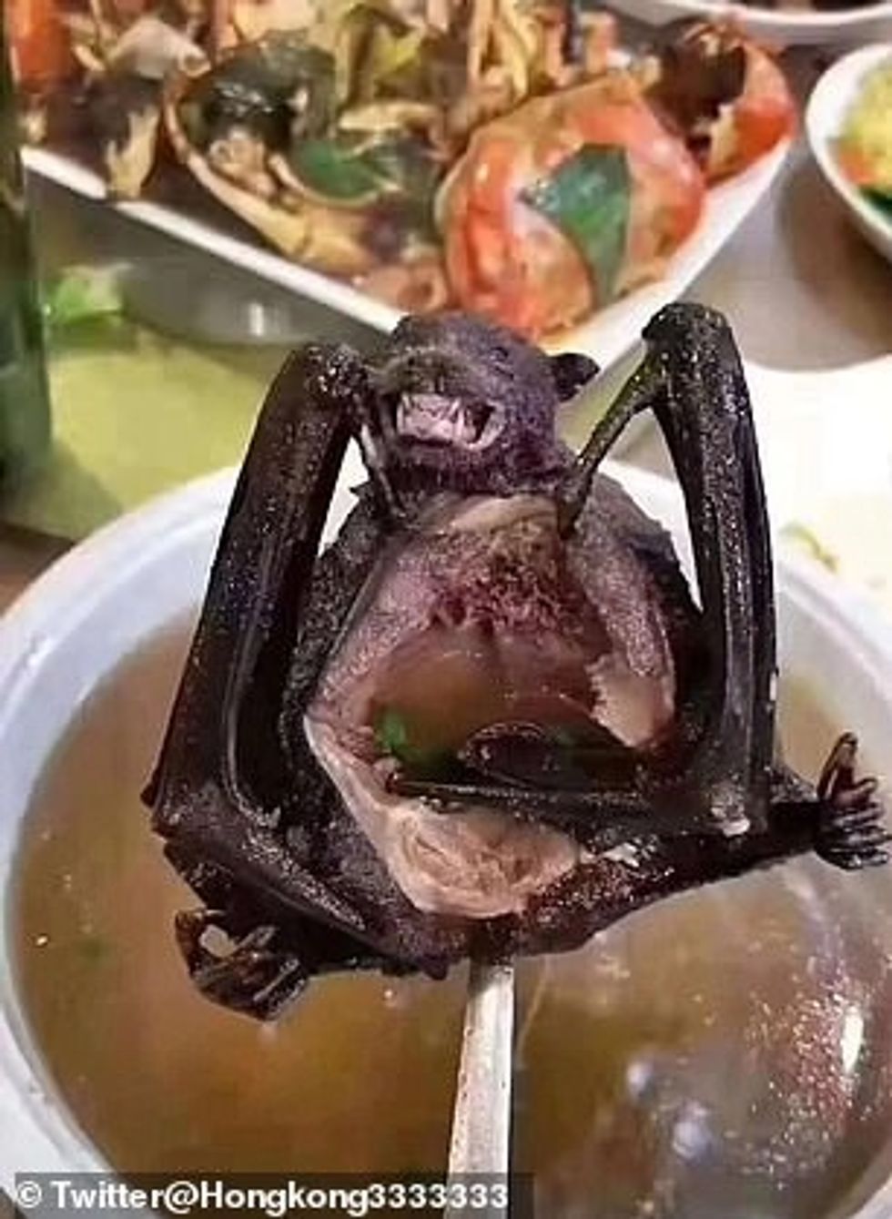 23773182 7920573 image a 19 1579784467308