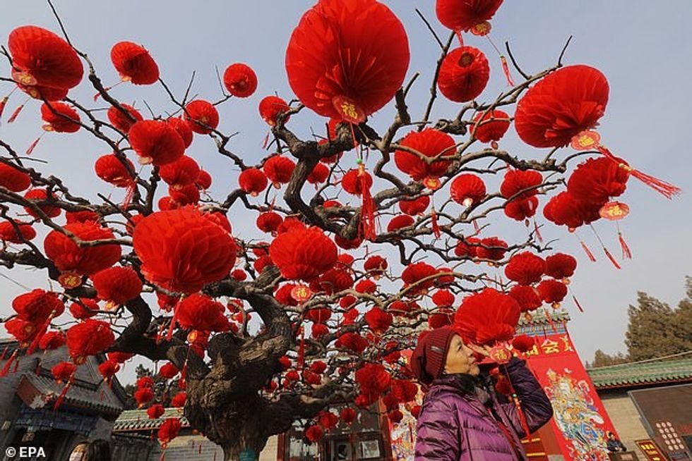 23773616 7920661 image a 16 1579785280285