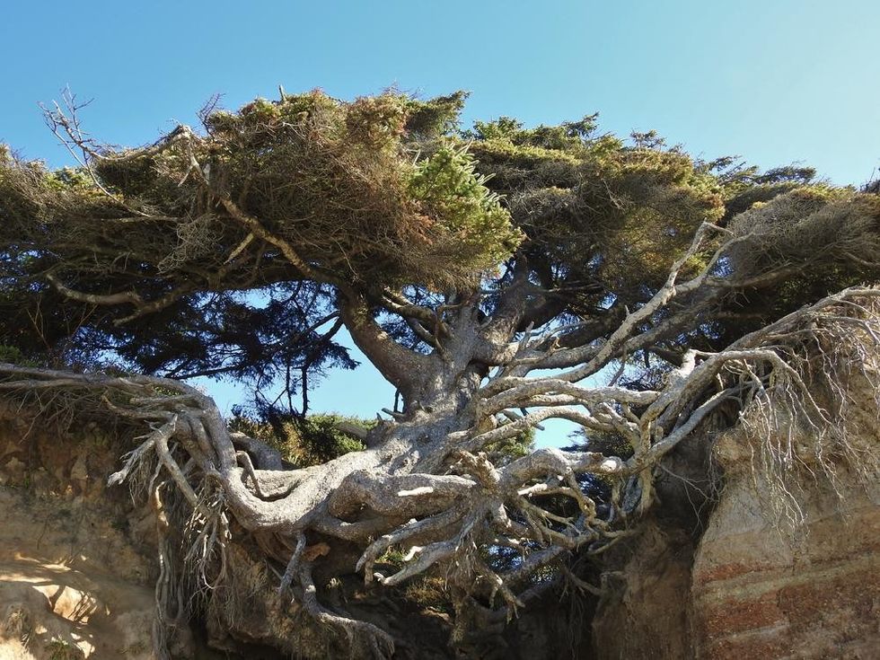 238383 shutterstock 750993952 ff