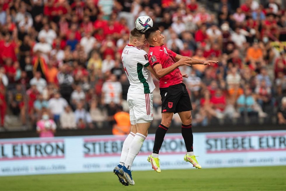 239903495 4142468649185666 5035198036946223493 n