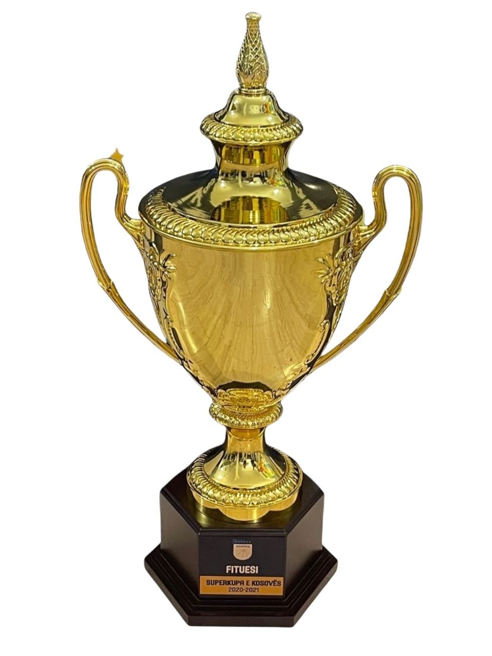 241443605 1828358564010718 3292969349013756806 n