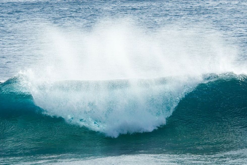 2414957 profimedia0035756