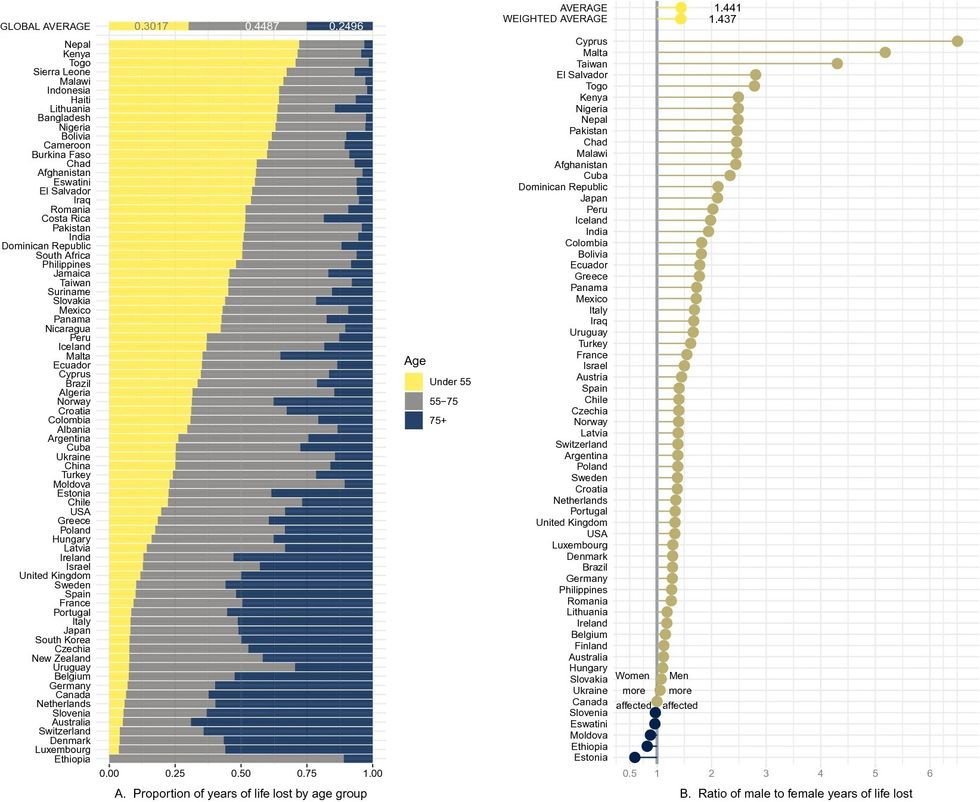 241598 2021 83040 Fig2 HTML