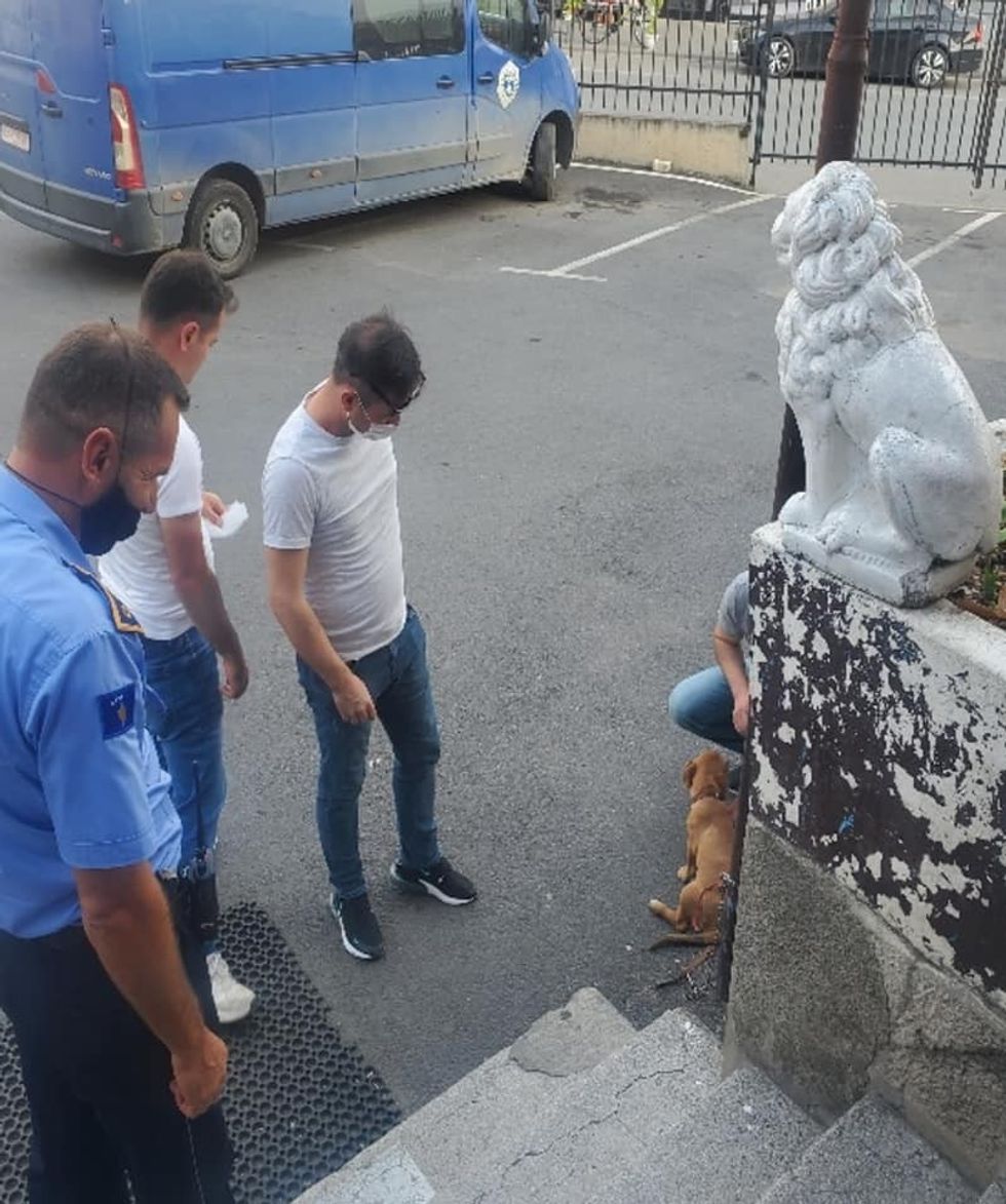 241739196 4465616236832211 6390154979919906554 n 1