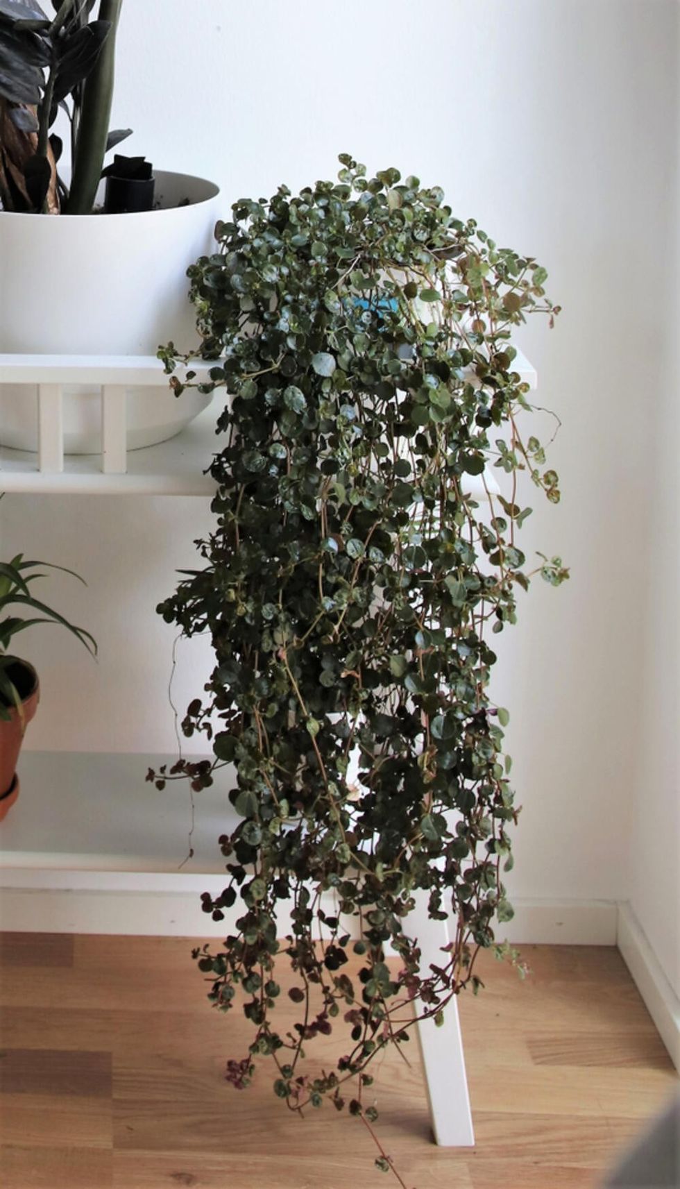 241749 shutterstock 1626686332 ff