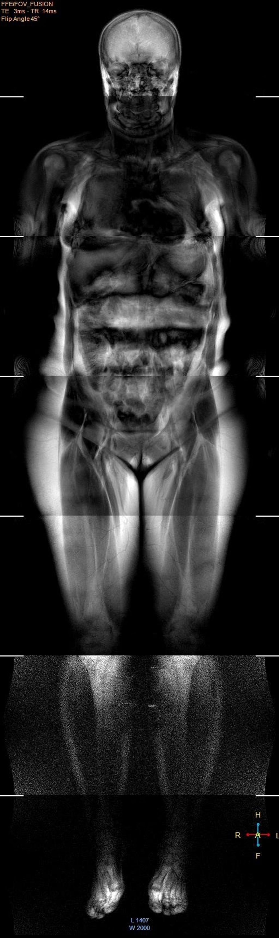 242087359 2997121790604607 2041113120970488193 n 1