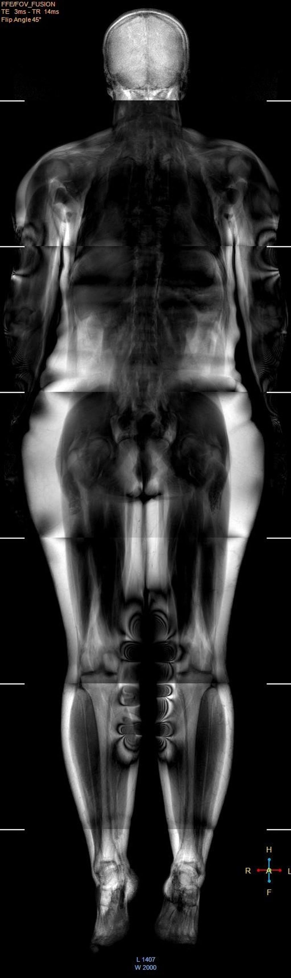 242110605 2997121780604608 2462735150005429005 n