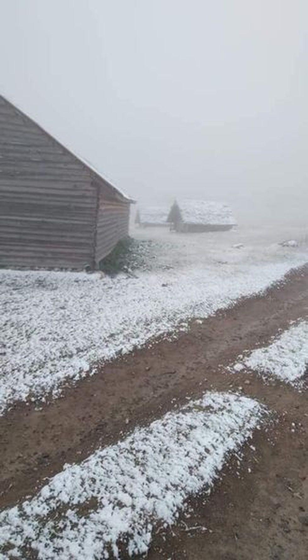 242540561 2363682990434365 5510745848896224669 n