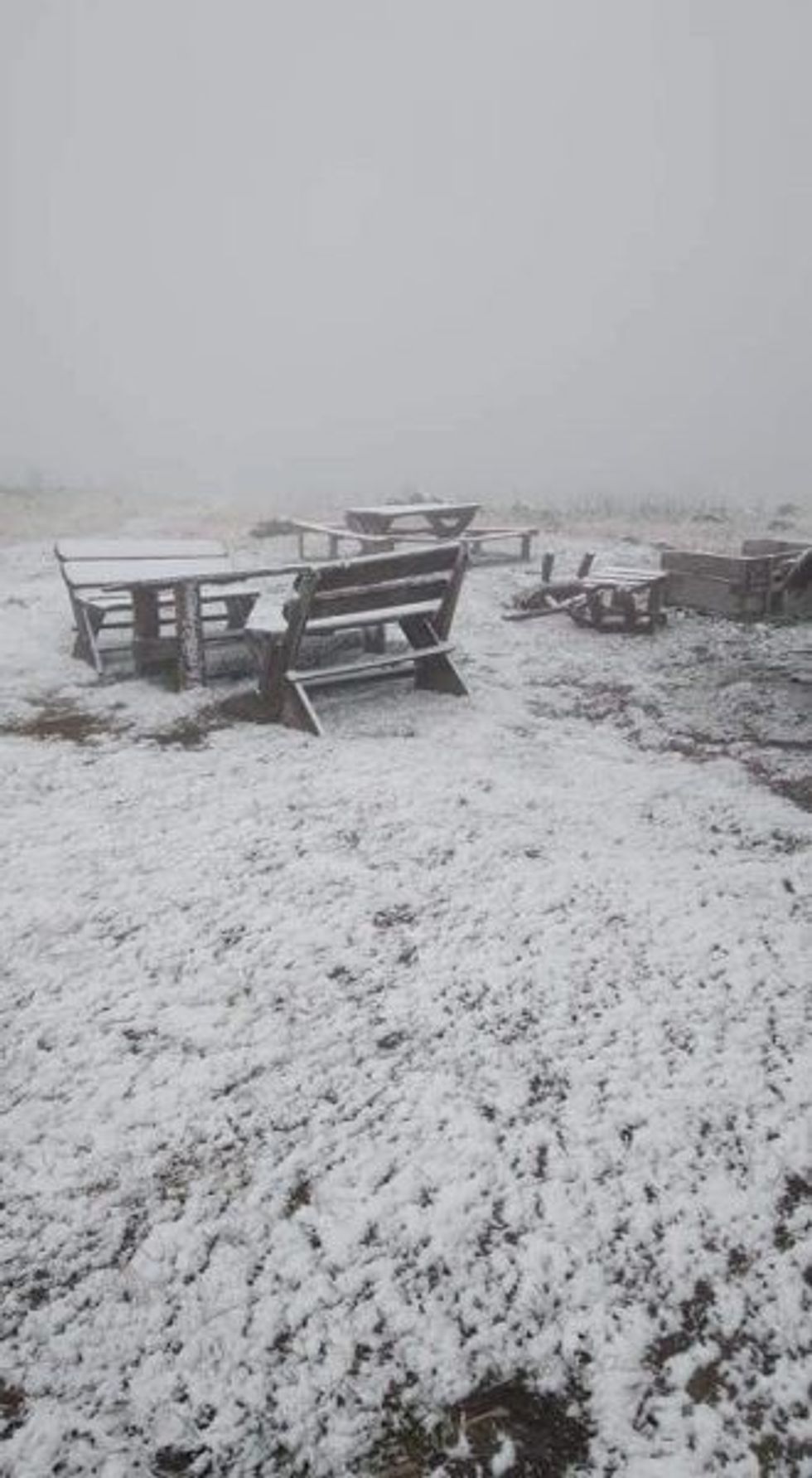 242542528 2363683007101030 7954244751616422564 n 1